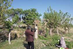 ساخت مستند تولید پیله ابریشم در شهرستان تربت حیدریه کلید خورد